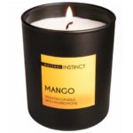 Ароматическая свеча с феромонами Natural Instinct  Манго  - 180 гр. купить в интернет магазине pheromones-mf.ru